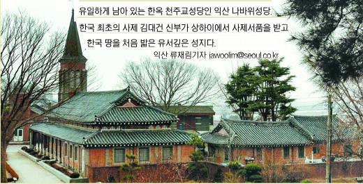 너른우산 이미지
