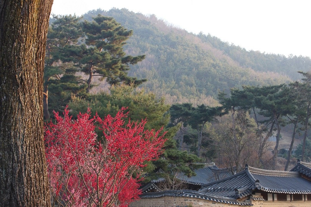 정글디자인 이미지