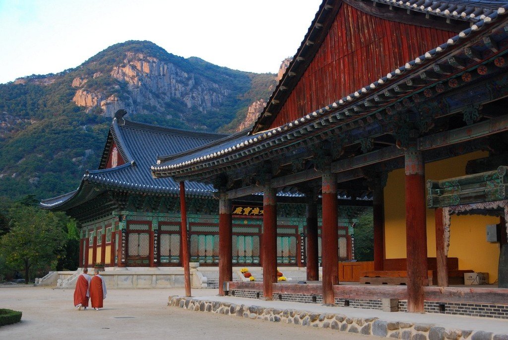 도반 이미지
