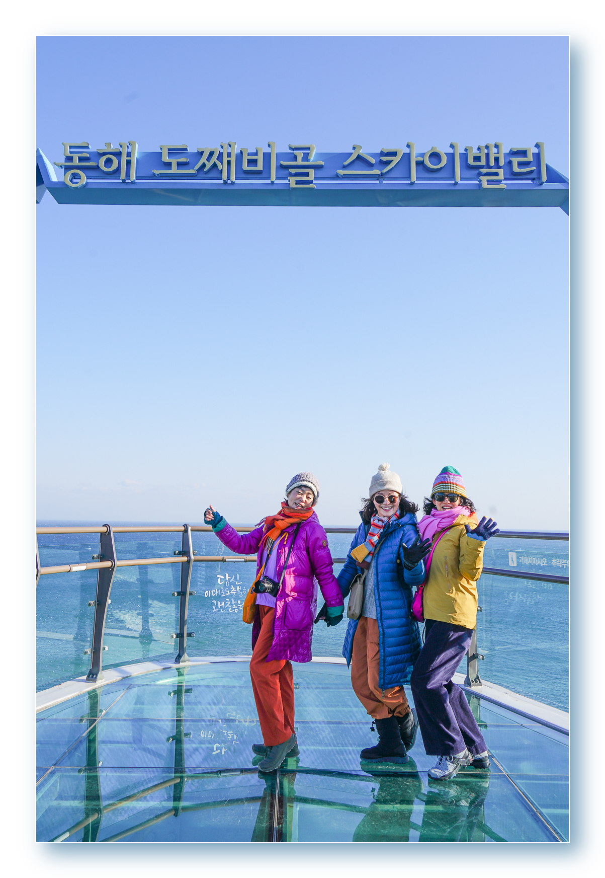 하슬라 이미지