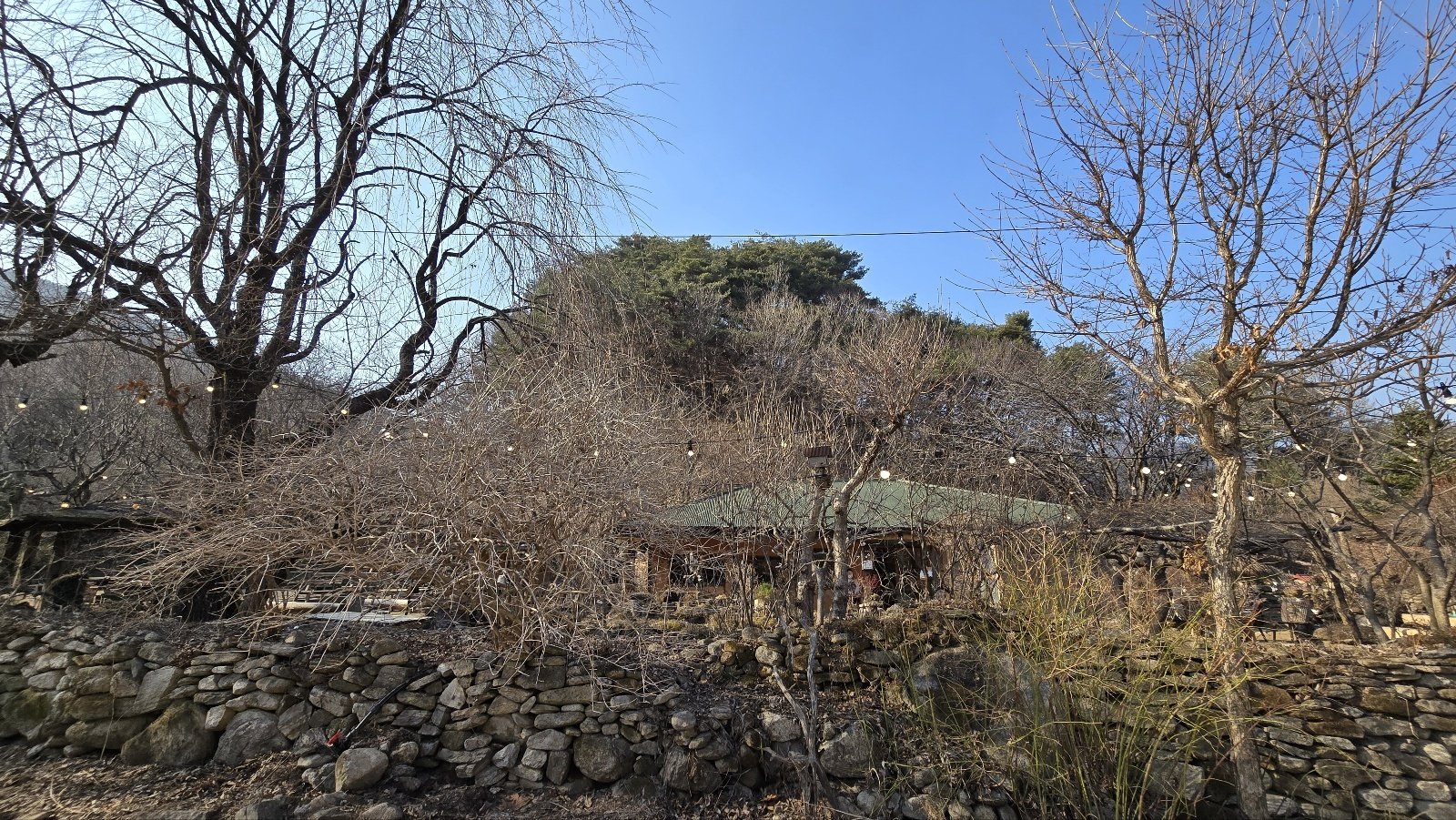 봄빛이야기 이미지