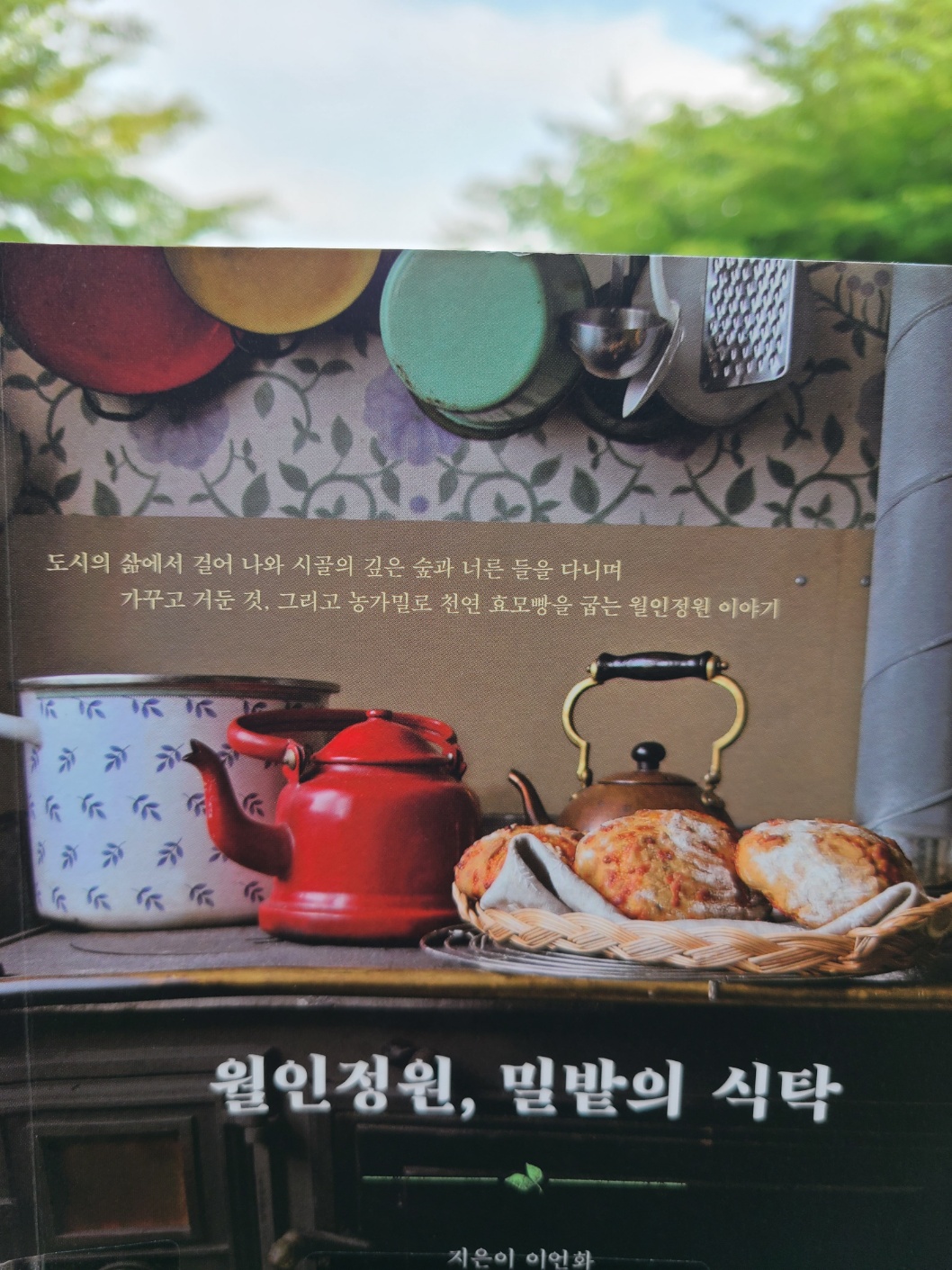 월인 이미지