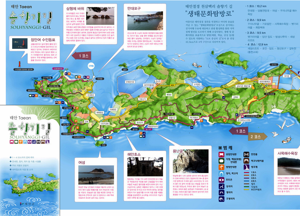 솔향기 이미지