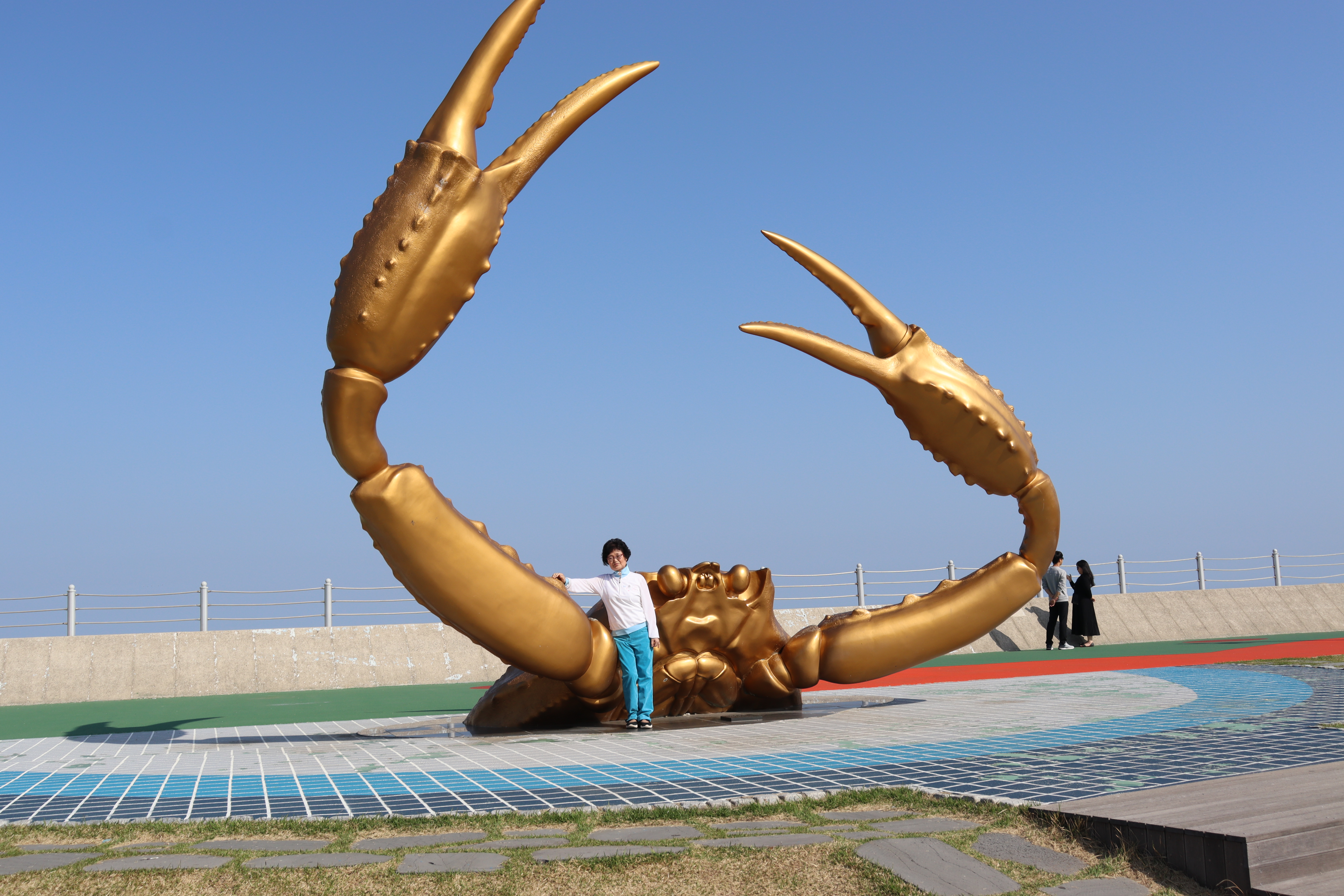 강구시장식당 이미지