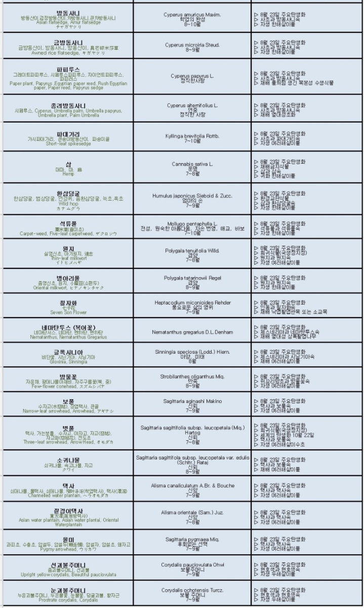 한국의 탄생화와 부부 사랑 / 모시풀, 병아리풀, 보풀, 벗풀 등 - ◈ 우리나라 오늘의 꽃 제작 - 하늘바다의 꽃과 철학/유레카3 8월 23일. 한국의... 