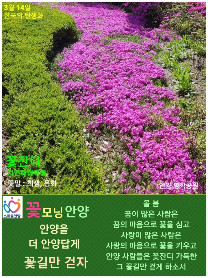 3월 14일. 한국의 탄생화와 부부 사랑 / 초봄에 꽃 피는 외산 원예종.... 철학/유레카3 3월 14일. 한국의 탄생화와 부부 사랑 / 초봄에 꽃 피는 외산... 