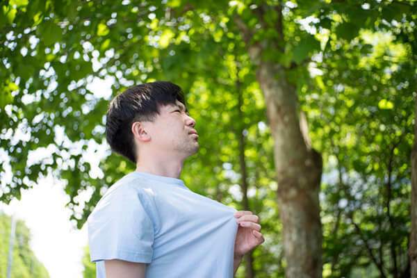 과일로 이미지