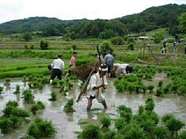 아！옛날 이미지