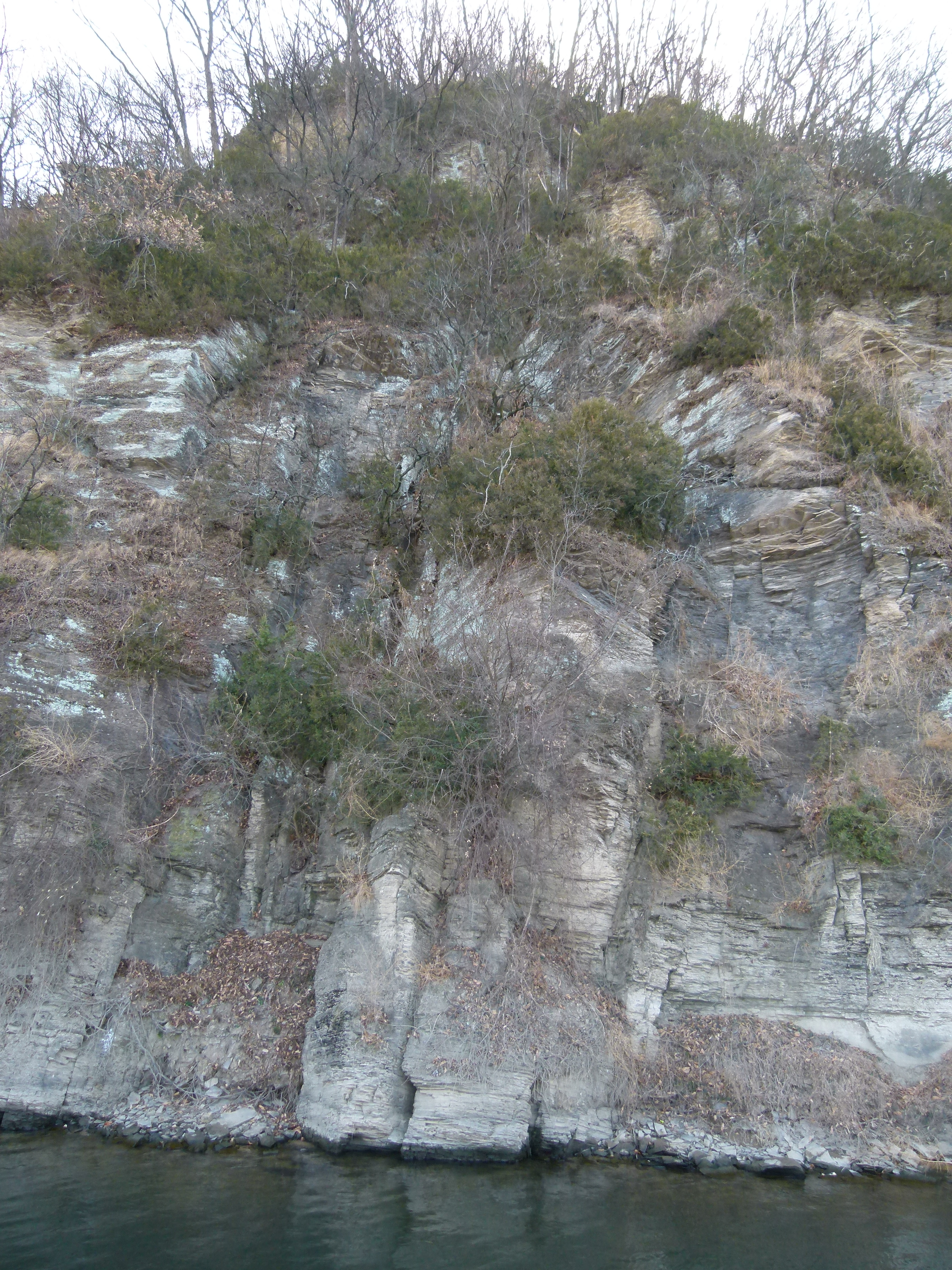 동산화원 이미지