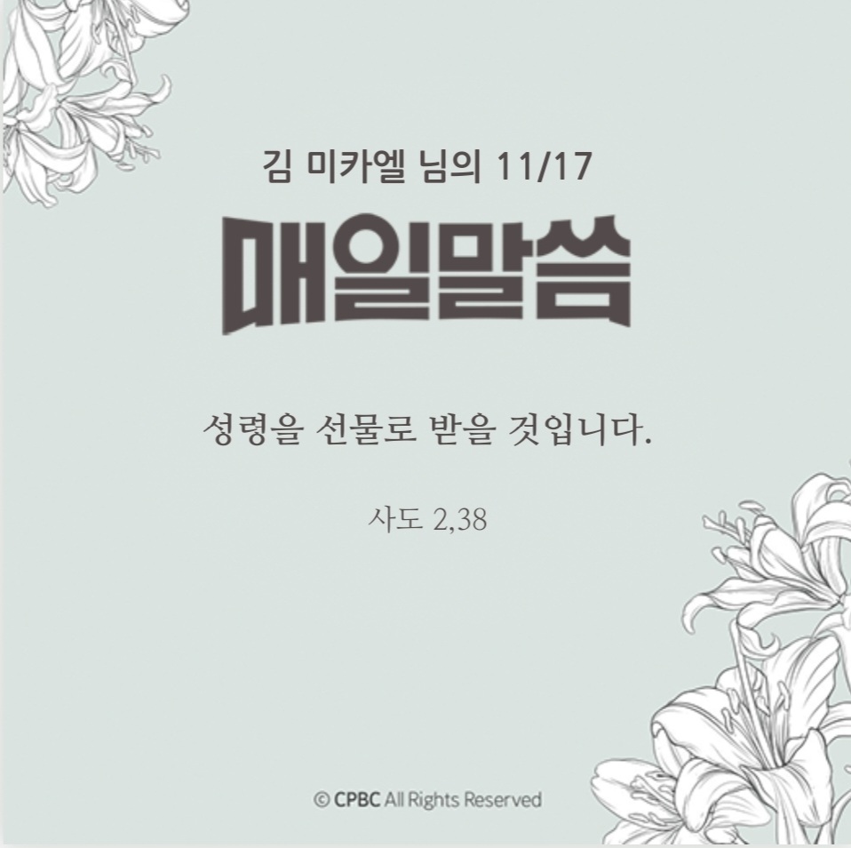 엘리사벳 이미지
