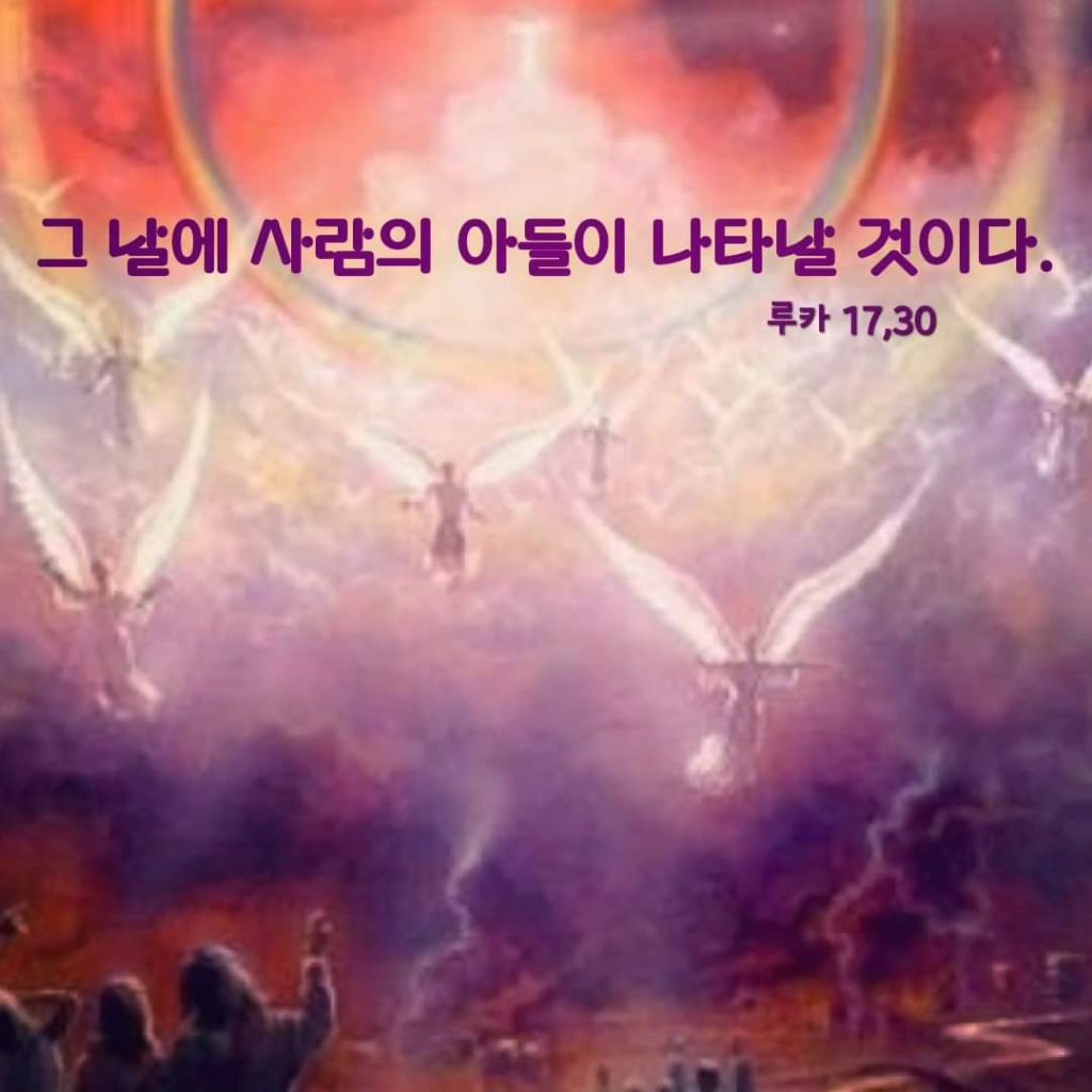 엘리사벳 이미지
