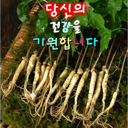 예쁜 아이콘 (6월 7월 끝자락) - ▣= 아 이 콘 =▣ - 맑은샘돌 예쁜 아이콘 (6월 7월 끝자락)