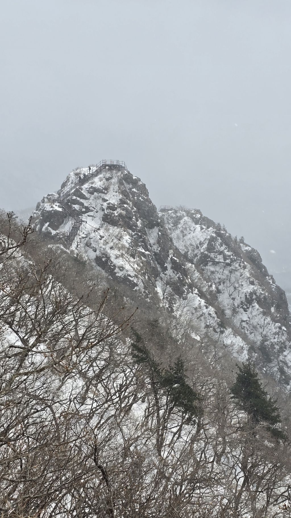 지광 이미지