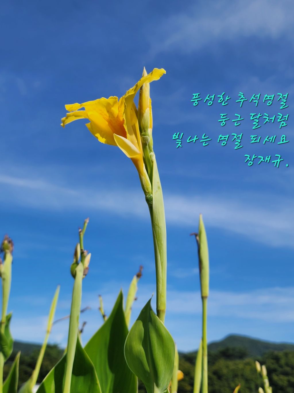 지광 이미지