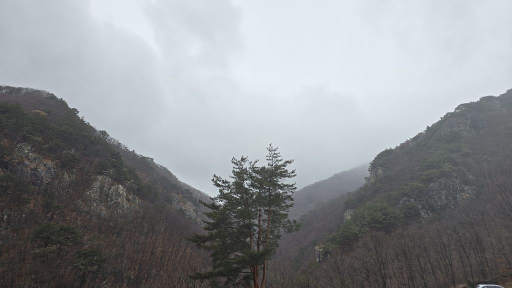 지광 이미지