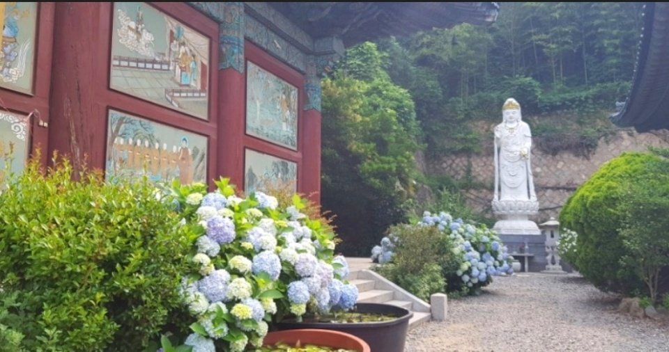 삼학 이미지