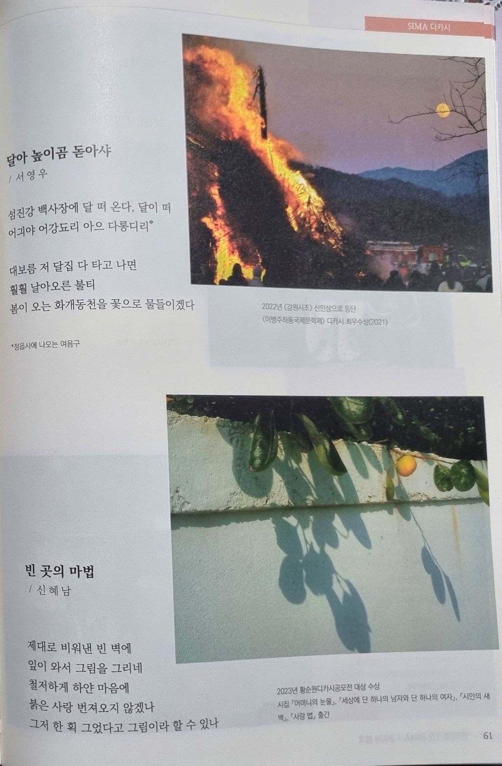 시마 이미지