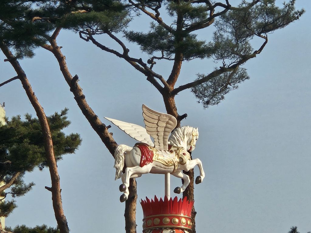 비마 이미지