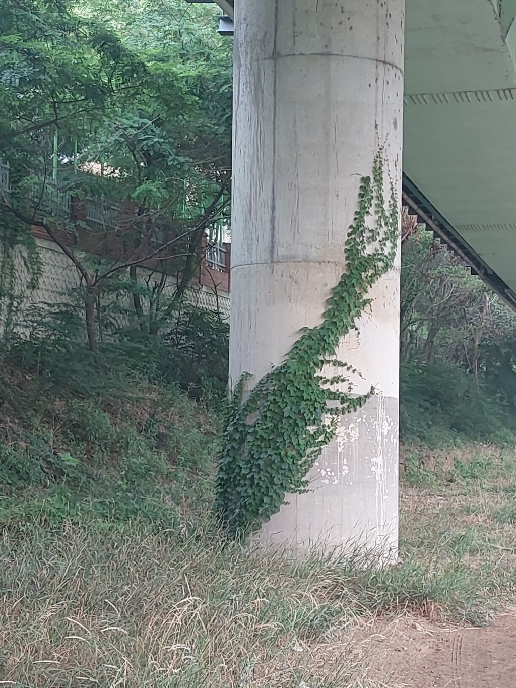 진달래먹고물장구치고 이미지
