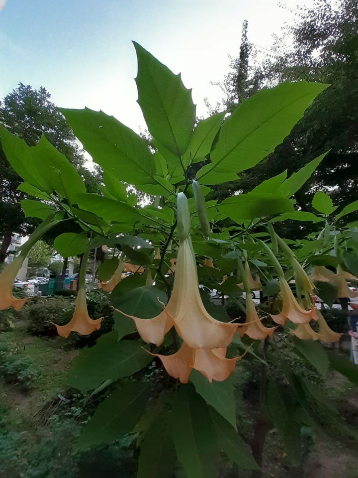 천사만물 이미지