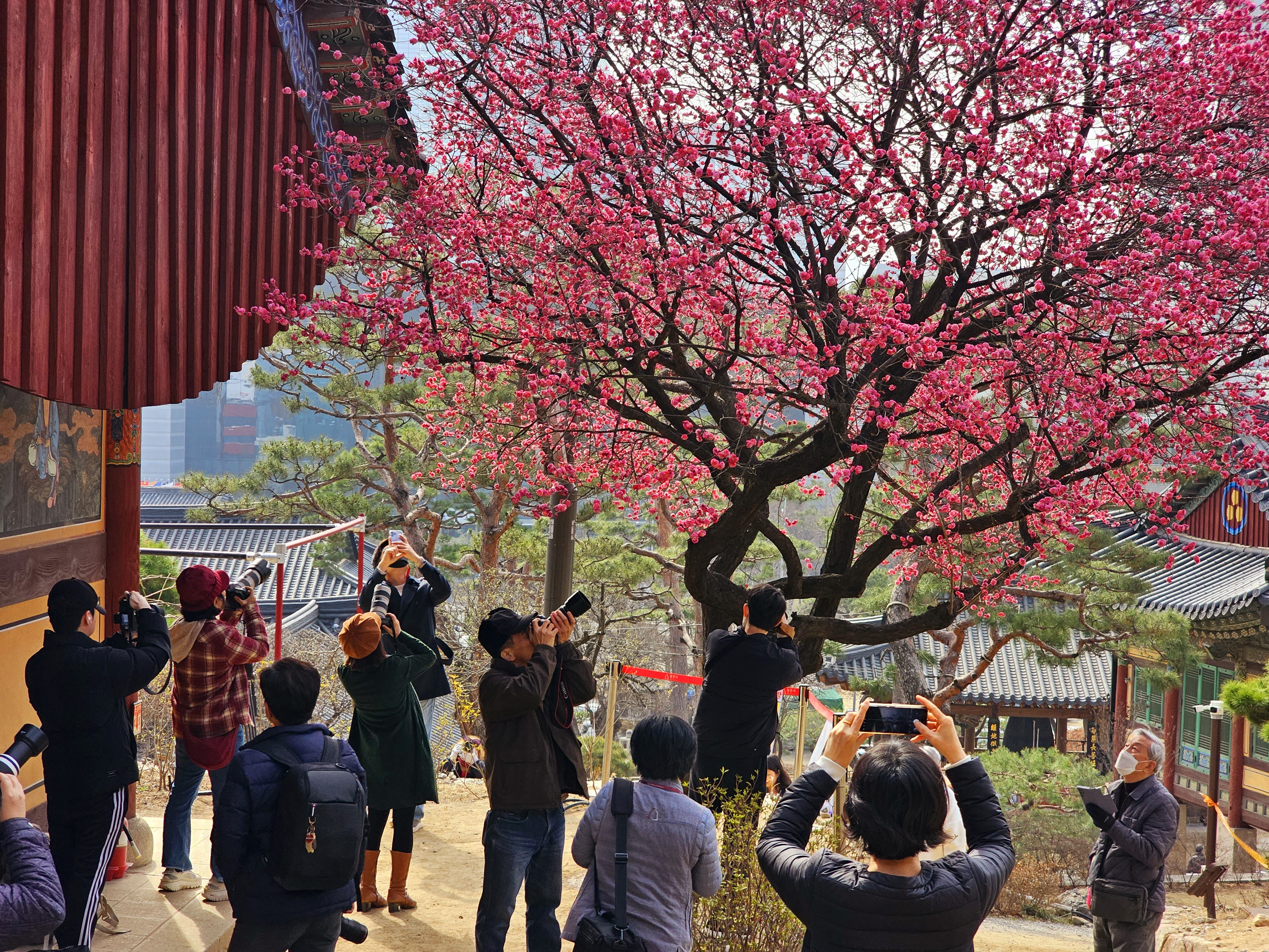 야단법석 이미지