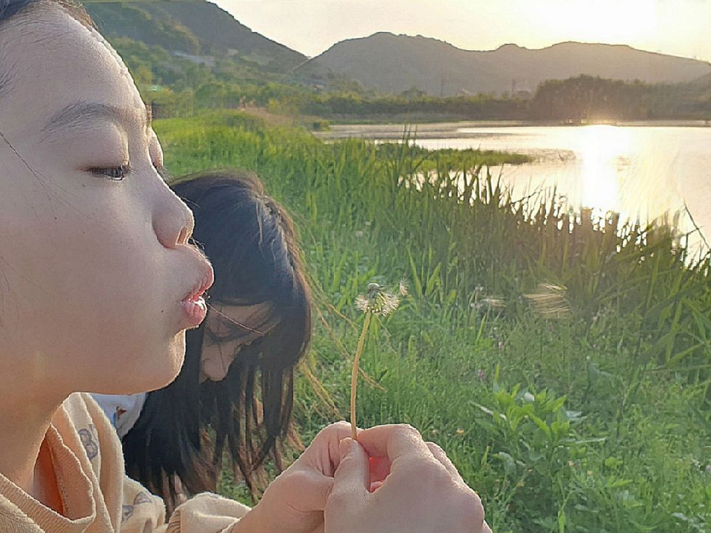 꿈꾸는언덕 이미지