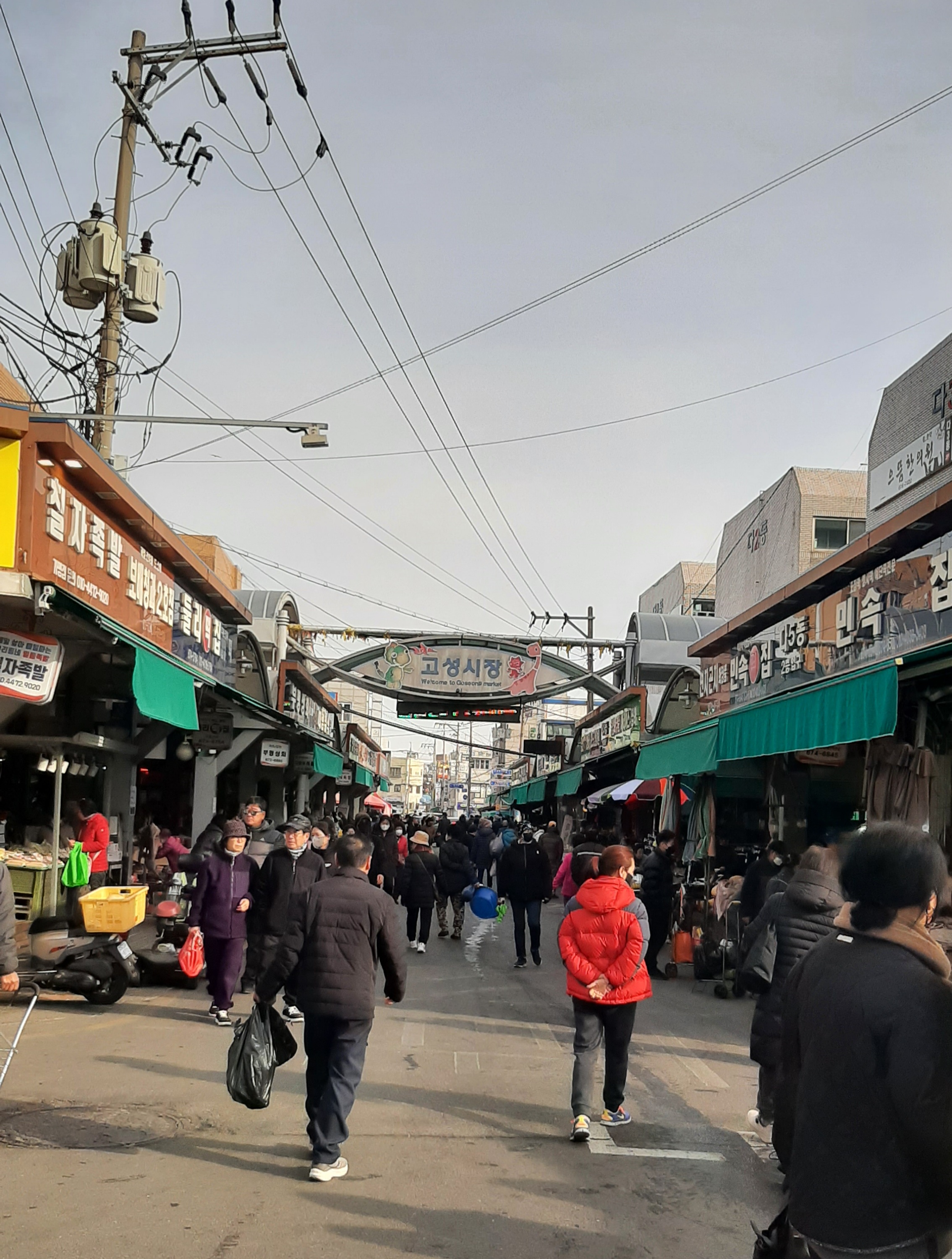 단대목 이미지