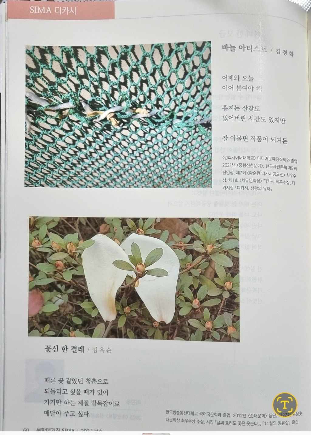 시마 이미지