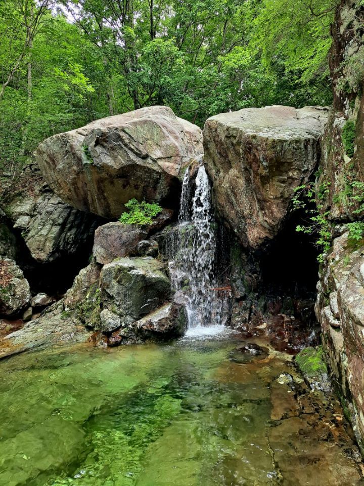 삼호산장 이미지