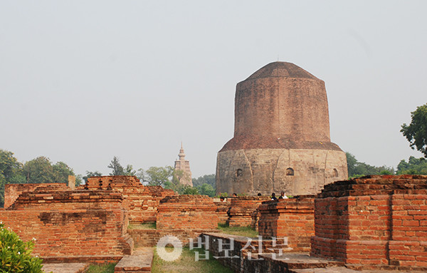 수보리 이미지