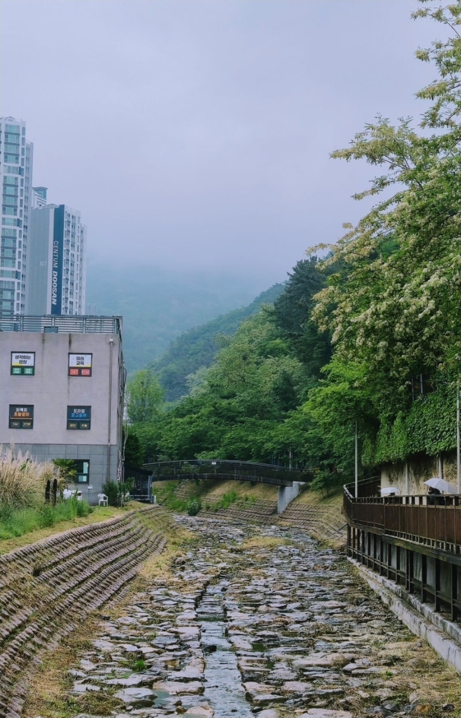장산 이미지