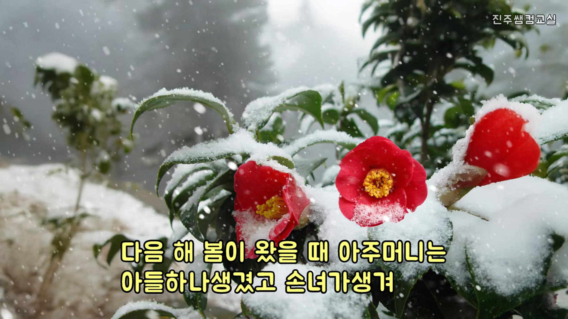풍성식당 이미지