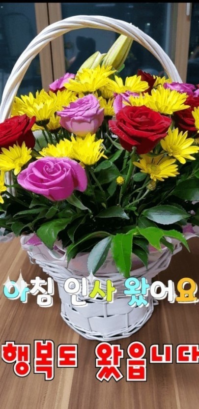 굿모닝해피데이 이미지