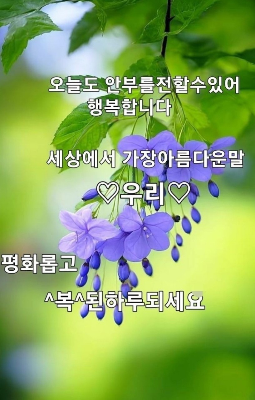 주는데로 이미지