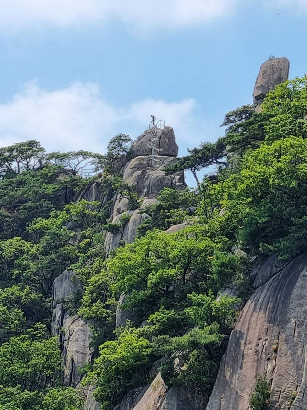 이리통닭호프 이미지