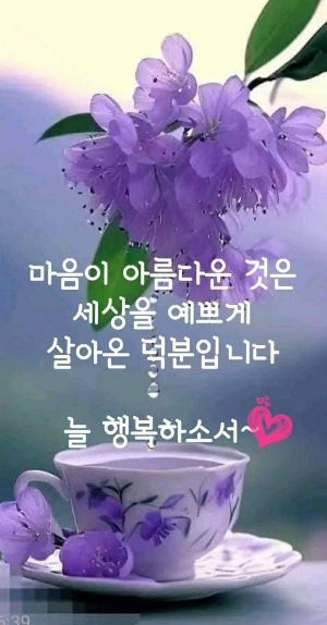 세라비 이미지
