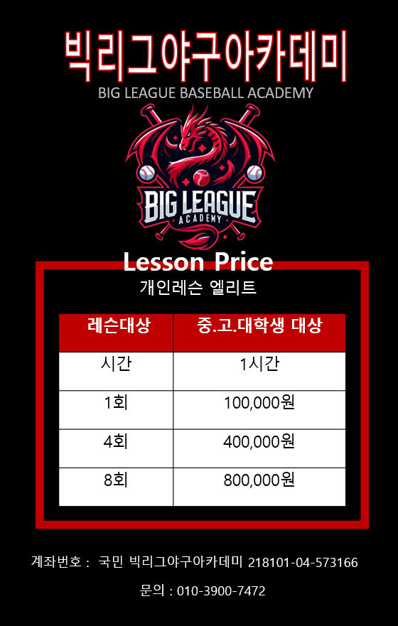 빅리그야구아카데미 이미지