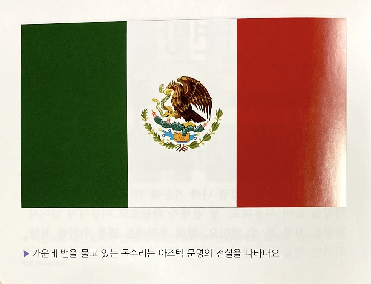 버디세계여행 이미지
