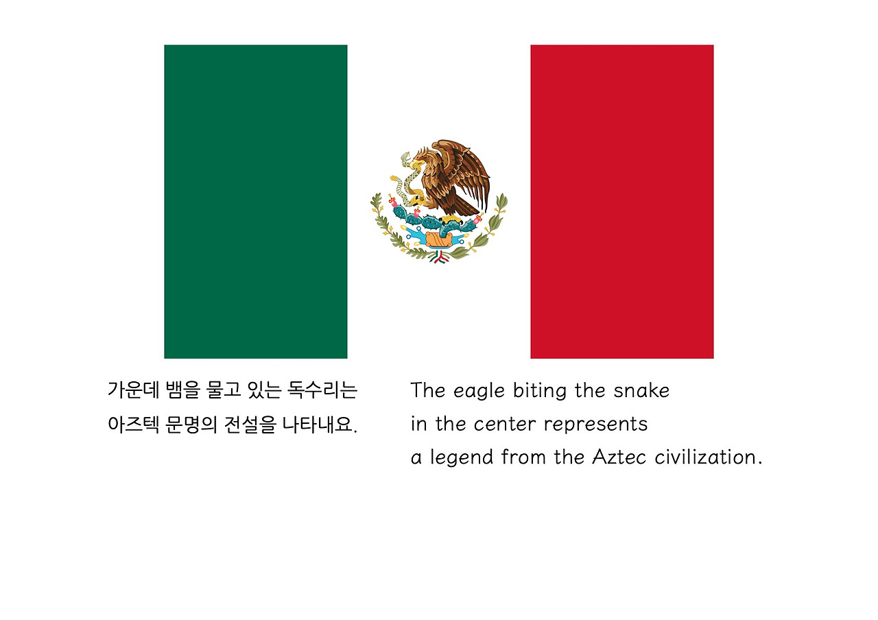 버디세계여행 이미지