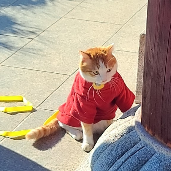 영화사 이미지