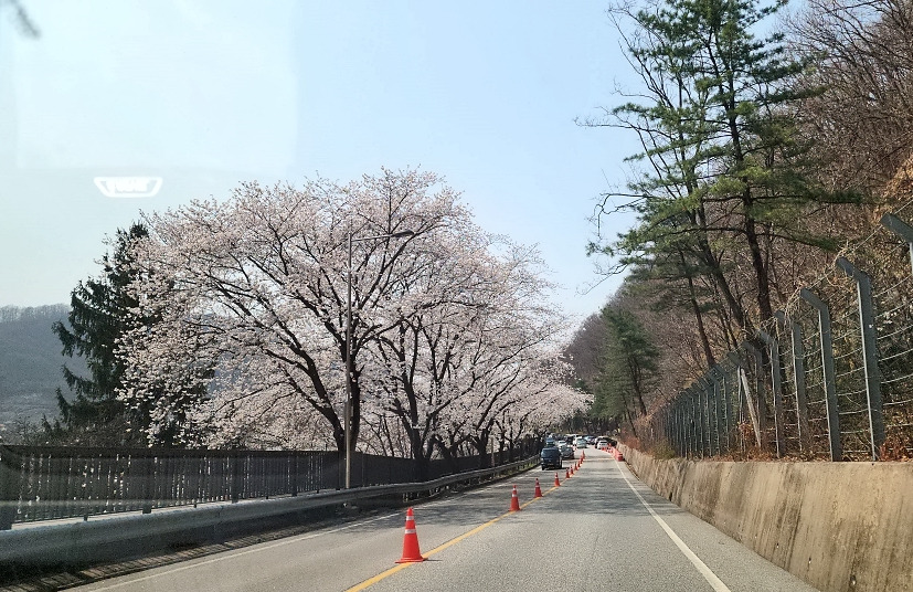 드림숲 이미지