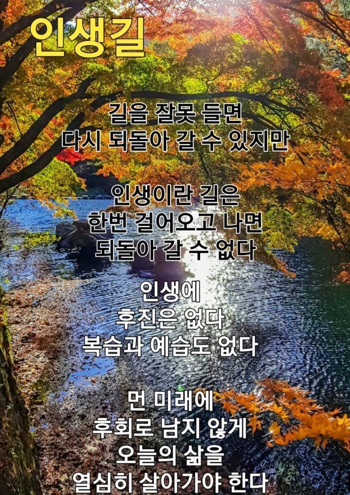 행복꽃 이미지