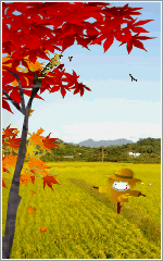 카페 프로필 이미지