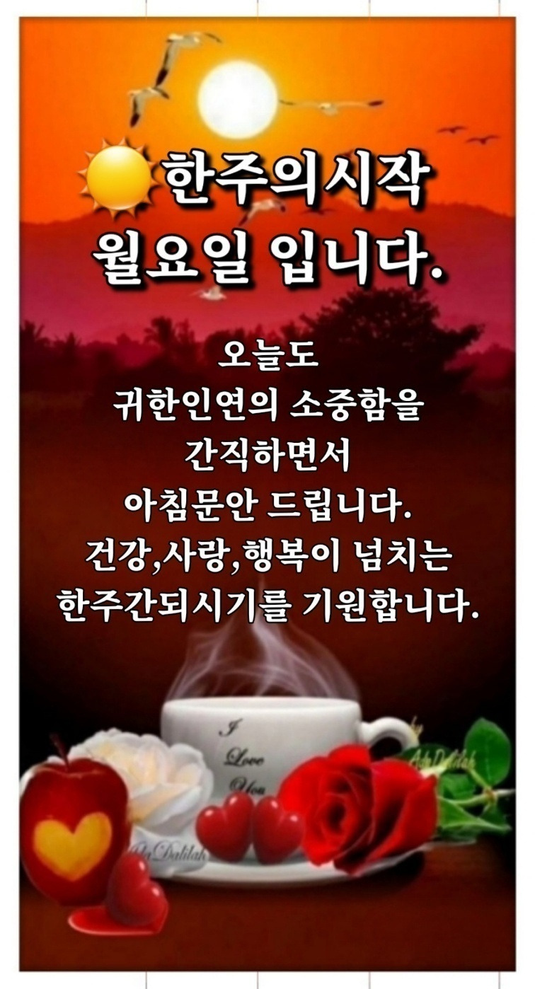 월요일,카톡인사 - ‥‥ⓔ미지 ♡ 자료실 - 향기있는 좋은글
