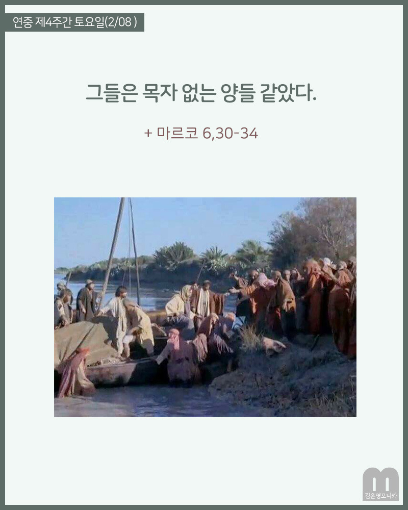 그라시아 이미지