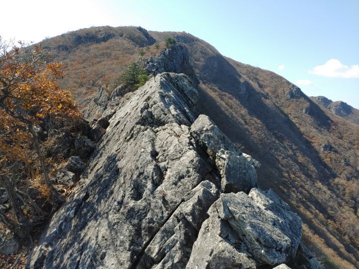 신불산휴게소 이미지
