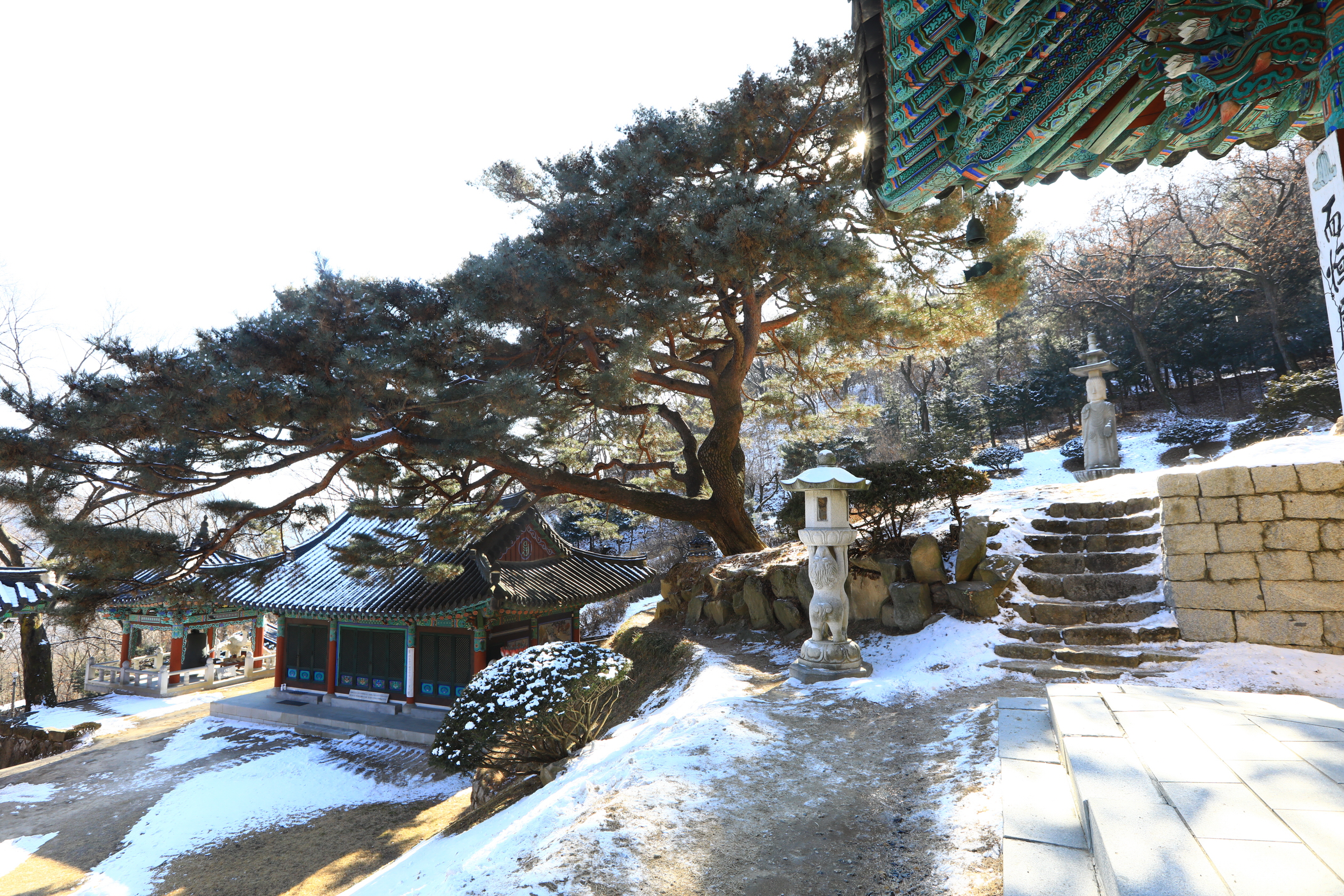 학림사 이미지