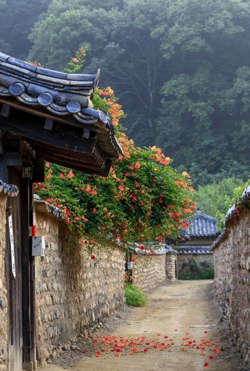 오늘같은 날 이미지