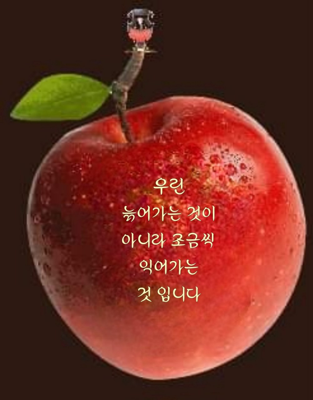 한수 이미지