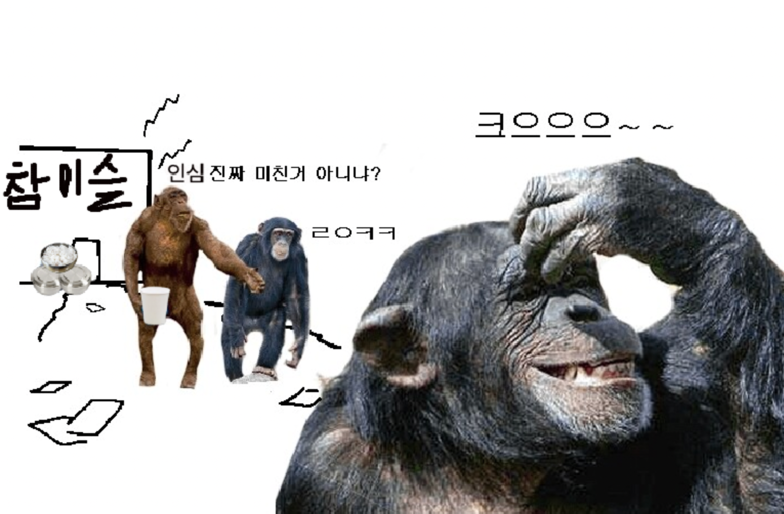 동네보쌈 이미지
